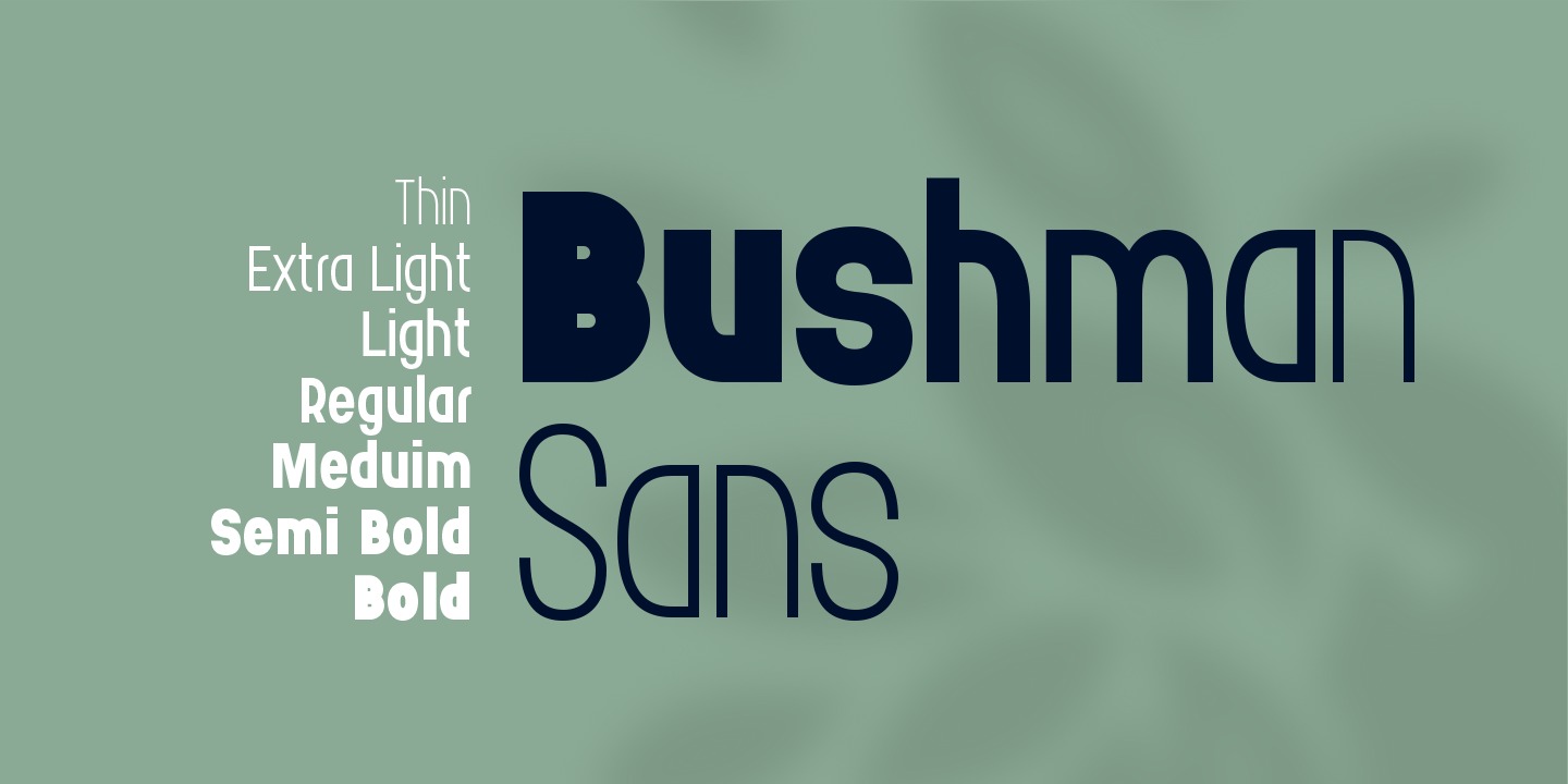 Beispiel einer Bushman Sans Light-Schriftart